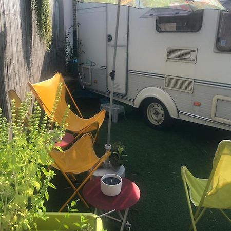 Gardencaravan Near Ghent In Green Area Exteriör bild