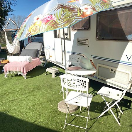 Gardencaravan Near Ghent In Green Area Exteriör bild