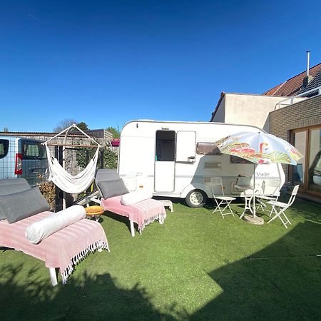 Gardencaravan Near Ghent In Green Area Exteriör bild