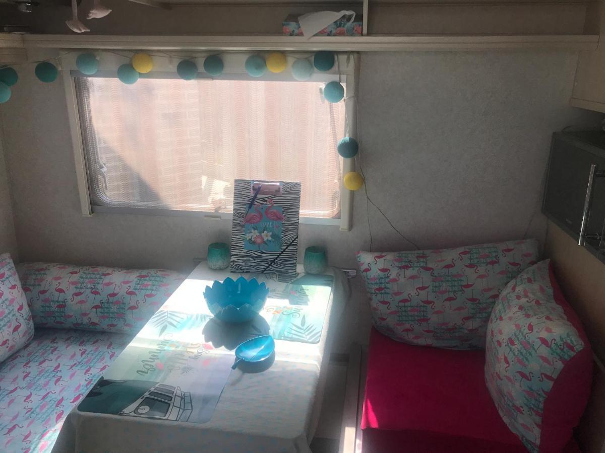 Gardencaravan Near Ghent In Green Area Exteriör bild