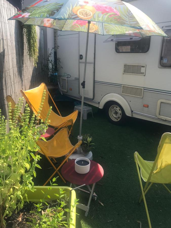 Gardencaravan Near Ghent In Green Area Exteriör bild